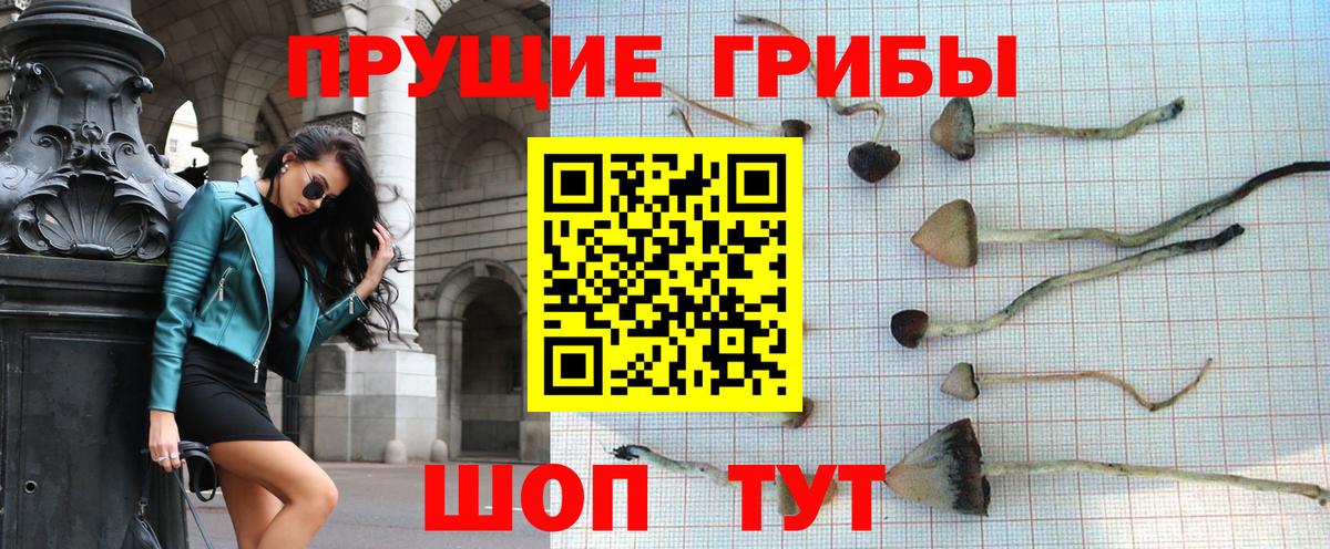 Псилоцибиновые грибы MAGIC MUSHROOMS  Вход с VPN  Всеволожск  Галлюциногенные грибы Magic Shrooms 